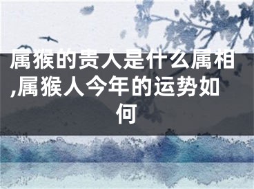 属猴的贵人是什么属相,属猴人今年的运势如何