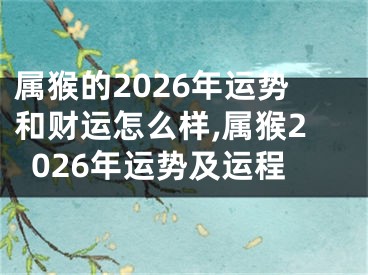 属猴的2026年运势和财运怎么样,属猴2026年运势及运程