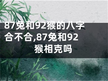 87兔和92猴的八字合不合,87兔和92猴相克吗