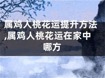 属鸡人桃花运提升方法,属鸡人桃花运在家中哪方