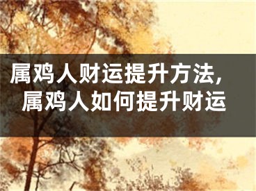 属鸡人财运提升方法,属鸡人如何提升财运