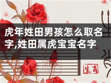 虎年姓田男孩怎么取名字,姓田属虎宝宝名字