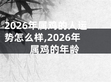 2026年属鸡的人运势怎么样,2026年属鸡的年龄