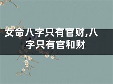 女命八字只有官财,八字只有官和财