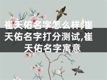 崔天佑名字怎么样,崔天佑名字打分测试,崔天佑名字寓意