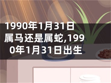 1990年1月31日属马还是属蛇,1990年1月31日出生