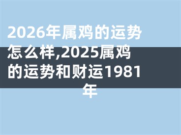 2026年属鸡的运势怎么样,2025属鸡的运势和财运1981年