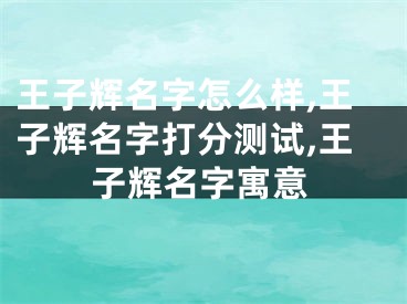 王子辉名字怎么样,王子辉名字打分测试,王子辉名字寓意