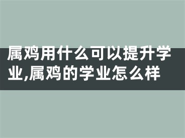 属鸡用什么可以提升学业,属鸡的学业怎么样