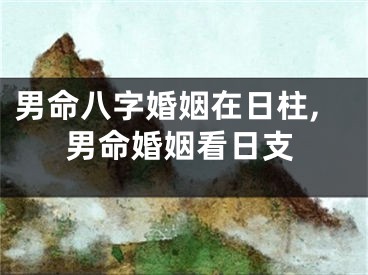 男命八字婚姻在日柱,男命婚姻看日支