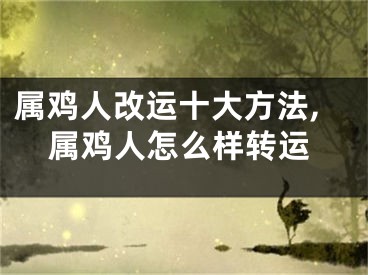 属鸡人改运十大方法,属鸡人怎么样转运