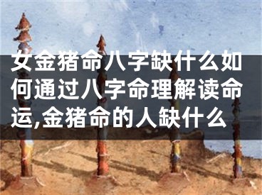 女金猪命八字缺什么如何通过八字命理解读命运,金猪命的人缺什么