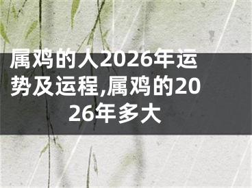 属鸡的人2026年运势及运程,属鸡的2026年多大