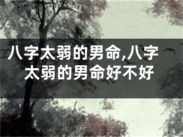 八字太弱的男命,八字太弱的男命好不好
