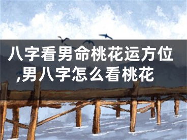 八字看男命桃花运方位,男八字怎么看桃花