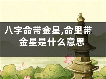 八字命带金星,命里带金星是什么意思