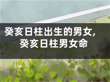 癸亥日柱出生的男女,癸亥日柱男女命