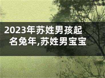 2023年苏姓男孩起名兔年,苏姓男宝宝