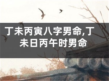 丁未丙寅八字男命,丁未日丙午时男命