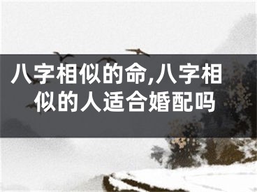 八字相似的命,八字相似的人适合婚配吗