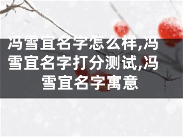冯雪宜名字怎么样,冯雪宜名字打分测试,冯雪宜名字寓意