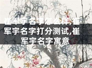崔军宇名字怎么样,崔军宇名字打分测试,崔军宇名字寓意