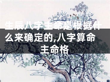 生辰八字主命是根据什么来确定的,八字算命主命格
