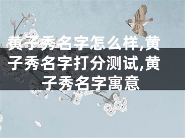 黄子秀名字怎么样,黄子秀名字打分测试,黄子秀名字寓意