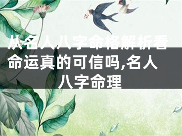 从名人八字命格解析看命运真的可信吗,名人八字命理