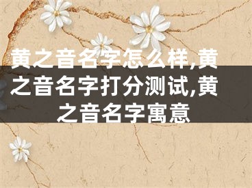 黄之音名字怎么样,黄之音名字打分测试,黄之音名字寓意