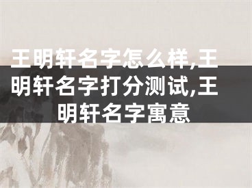 王明轩名字怎么样,王明轩名字打分测试,王明轩名字寓意