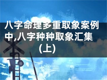 八字命理多重取象案例中,八字种种取象汇集(上)