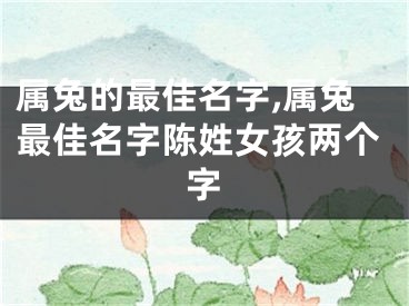 属兔的最佳名字,属兔最佳名字陈姓女孩两个字