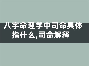 八字命理学中司命具体指什么,司命解释