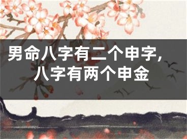 男命八字有二个申字,八字有两个申金