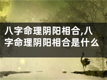 八字命理阴阳相合,八字命理阴阳相合是什么