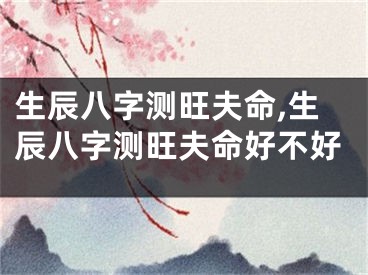 生辰八字测旺夫命,生辰八字测旺夫命好不好