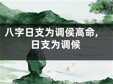 八字日支为调侯高命,日支为调候