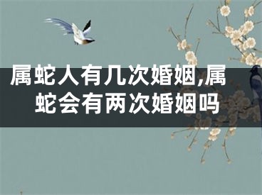 属蛇人有几次婚姻,属蛇会有两次婚姻吗