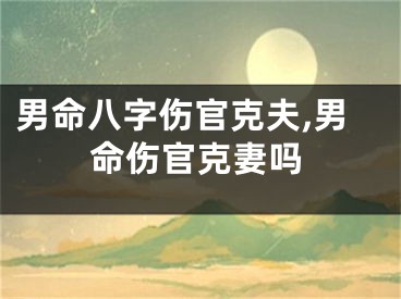 男命八字伤官克夫,男命伤官克妻吗