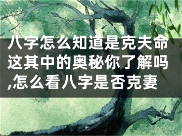 八字怎么知道是克夫命这其中的奥秘你了解吗,怎么看八字是否克妻