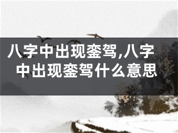 八字中出现銮驾,八字中出现銮驾什么意思