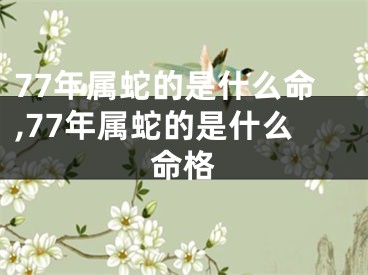 77年属蛇的是什么命,77年属蛇的是什么命格