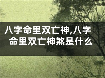 八字命里双亡神,八字命里双亡神煞是什么