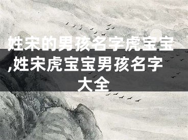 姓宋的男孩名字虎宝宝,姓宋虎宝宝男孩名字大全