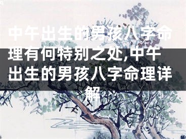 中午出生的男孩八字命理有何特别之处,中午出生的男孩八字命理详解