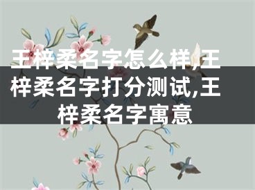 王梓柔名字怎么样,王梓柔名字打分测试,王梓柔名字寓意