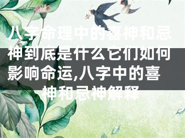 八字命理中的喜神和忌神到底是什么它们如何影响命运,八字中的喜神和忌神解释