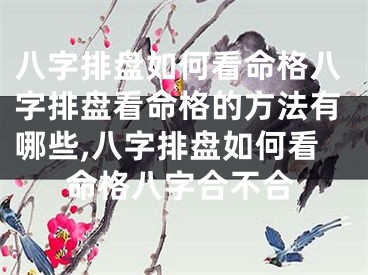 八字排盘如何看命格八字排盘看命格的方法有哪些,八字排盘如何看命格八字合不合