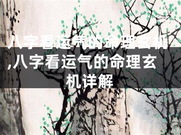 八字看运气的命理玄机,八字看运气的命理玄机详解